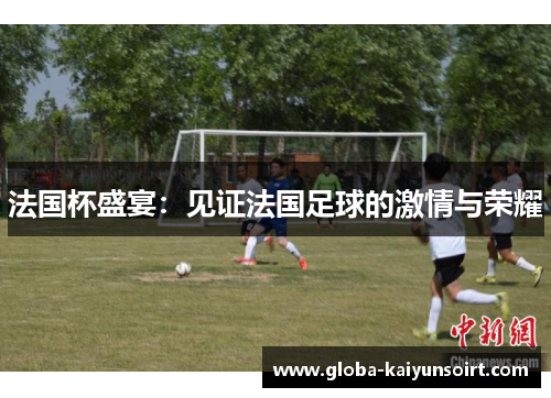 法国杯盛宴：见证法国足球的激情与荣耀