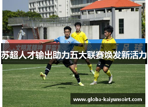 苏超人才输出助力五大联赛焕发新活力