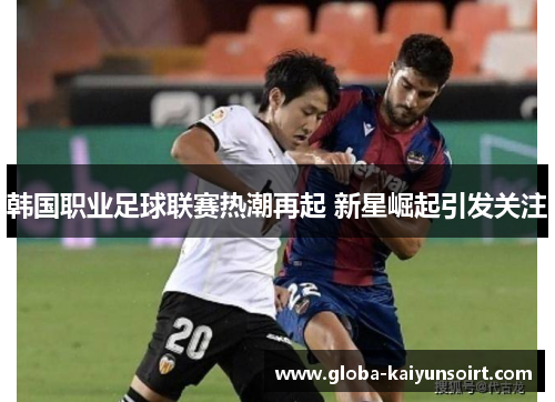 韩国职业足球联赛热潮再起 新星崛起引发关注 韩国职业足球联赛热潮再起 新星崛起引发关注