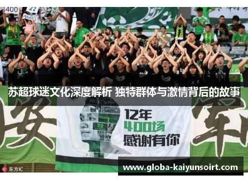 苏超球迷文化深度解析 独特群体与激情背后的故事