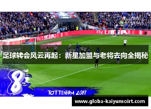 足球转会风云再起:新星加盟与老将去向全揭秘 足球转会风云再起:新星加盟与老将去向全揭秘